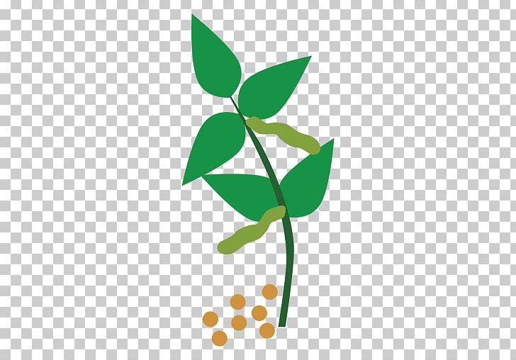Plant Stem Common Bean Plants Portable Network Graphics PNG, Clipart, Animaatio, Branch, Common Bean, Drawing, Encapsulated Postscript Free PNG Download