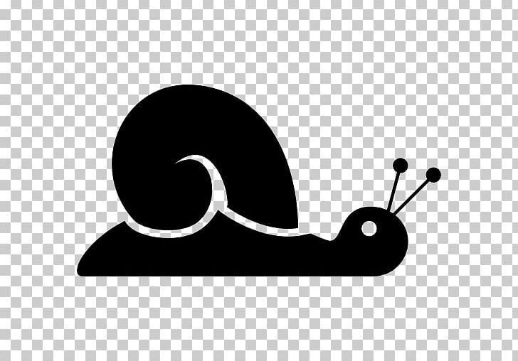 Computer Icons Snail PNG, Clipart, Animals, Black And White, Clip Art, Computer Icons, Drawing Free PNG Download