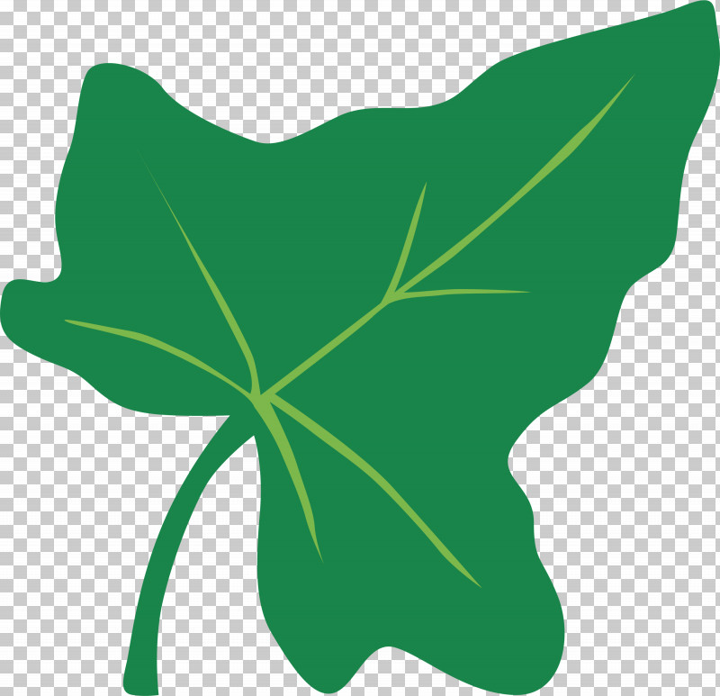 Plant Stem Petal Leaf Green M-tree PNG, Clipart, Biology, Flower, Green, Leaf, Mtree Free PNG Download