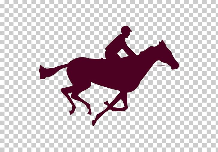 Horse The Human Figure In Motion Gallop Photography PNG, Clipart, Animals, Animated Film, Bridle, Eadweard Muybridge, Film Free PNG Download