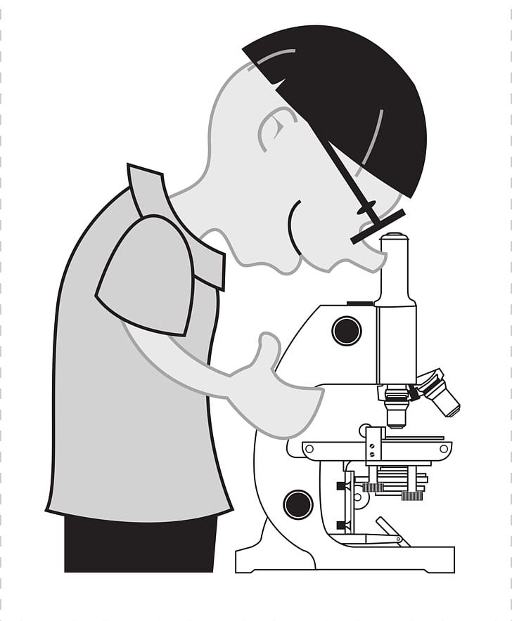 Optical Microscope Diagram Worksheet PNG, Clipart, Anatomy, Angle, Arm, Art, Black Free PNG Download