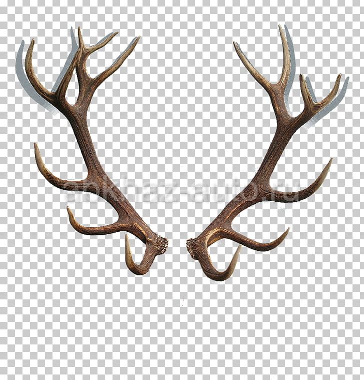 Antler Others Encapsulated Postscript PNG, Clipart, Antler, Autocad Dxf, Clip Art, Computer Icons, Deer Free PNG Download