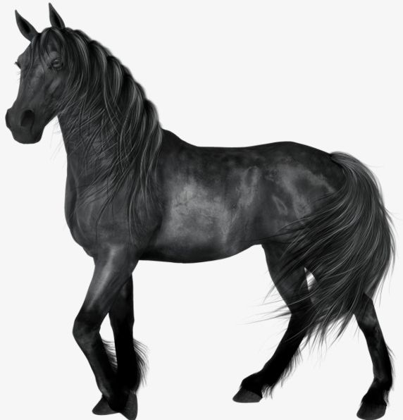 Painted Black Horse PNG, Clipart, Animal, Black, Black Clipart, Hand, Hand Painted Free PNG Download