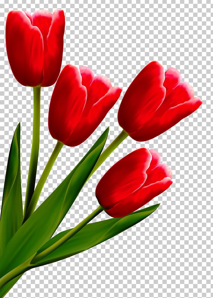 Tulip Drawing Flower Line Art PNG, Clipart, Coreldraw, Cut Flowers, Euclidean Vector, Floral Design, Flowering Plant Free PNG Download