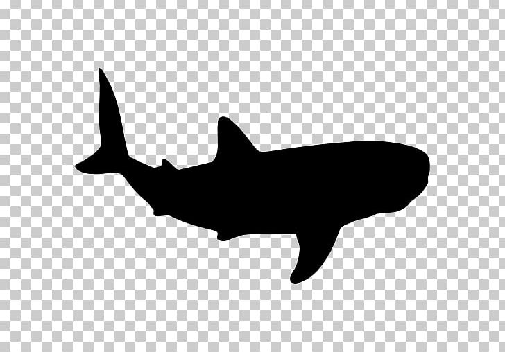 Whale Shark Cetacea PNG, Clipart, Animals, Black And White, Blue Whale, Cartilaginous Fish, Cetacea Free PNG Download