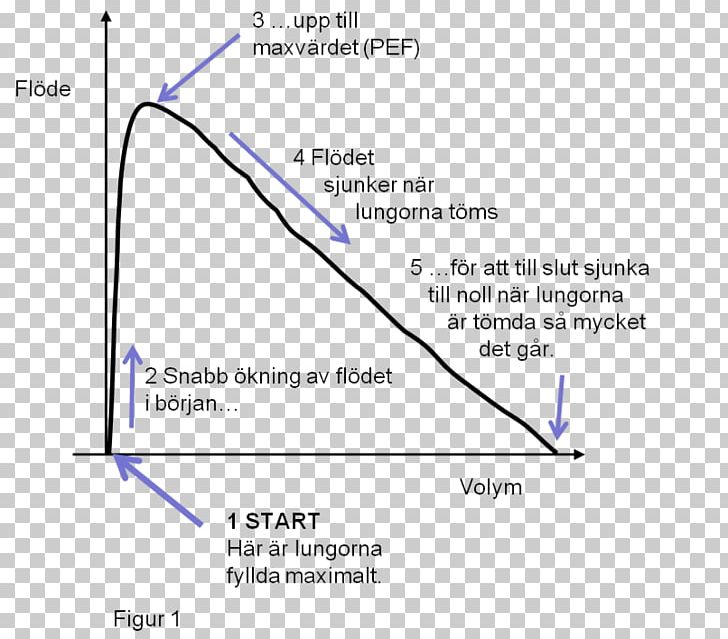 Respimat Spirometry Flux Curve Peak Expiratory Flow PNG, Clipart, Angle, Area, Bronchodilator, Curve, Diagram Free PNG Download