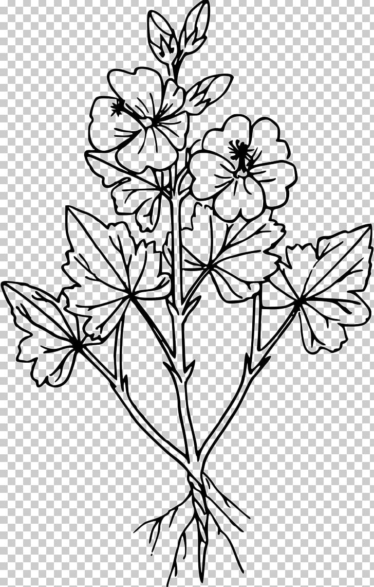 Sphaeralcea Coccinea Drawing Line Art PNG, Clipart, Black And White, Botanical Illustration, Branch, Drawing, Flora Free PNG Download