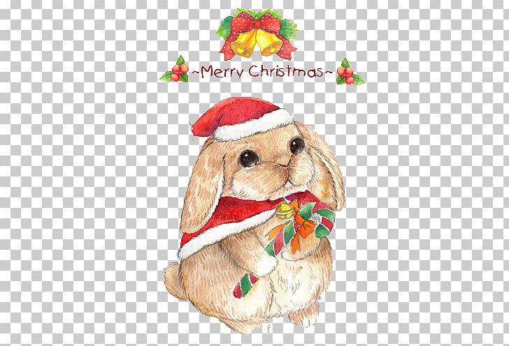 Christmas Eve The Magic Rabbit Cat PNG, Clipart, Animals, Buckle, Bunny, Cat, Child Free PNG Download