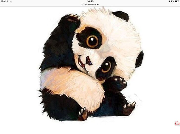 Giant Panda Bear Cuteness Drawing Red Panda PNG, Clipart, Animals, Art, Bamboe, Bear, Chibi Free PNG Download
