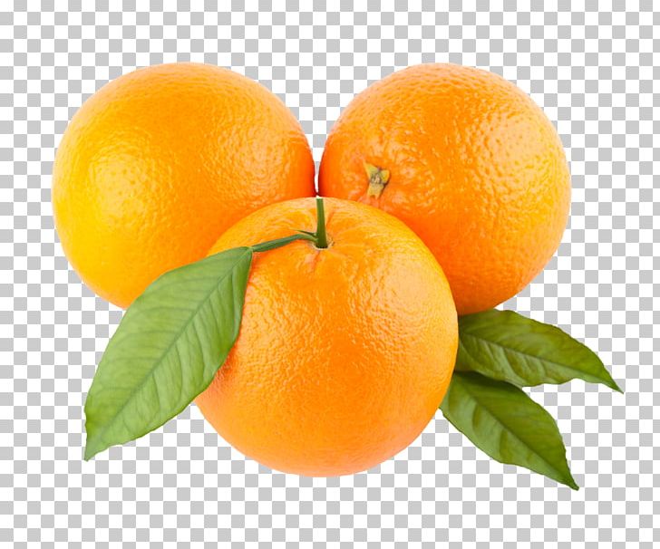 Orange PNG, Clipart, Apricot, Bitter Orange, Citric Acid, Citrus, Clementine Free PNG Download