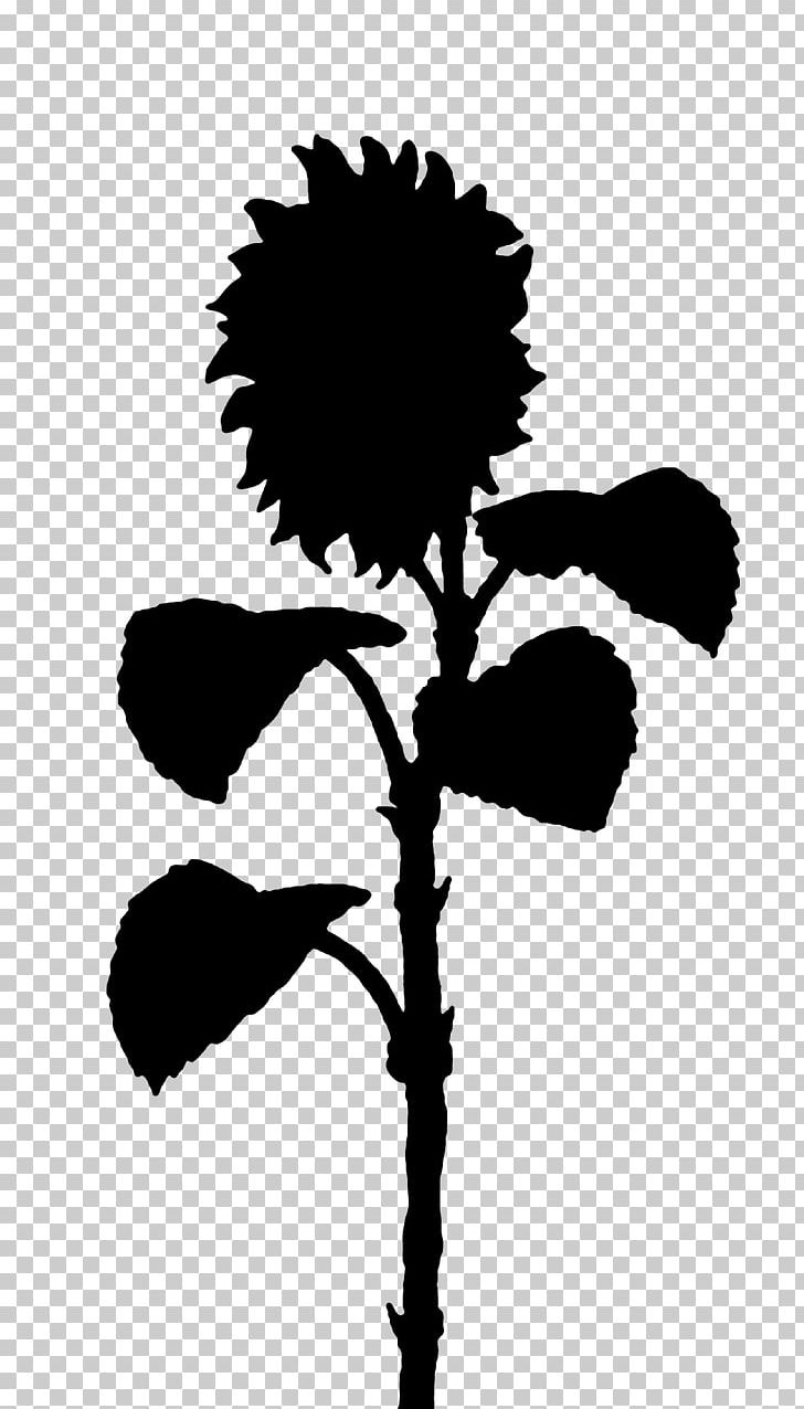 Silhouette PNG, Clipart, Animals, Branch, Flower, Flowering Plant, Image File Formats Free PNG Download