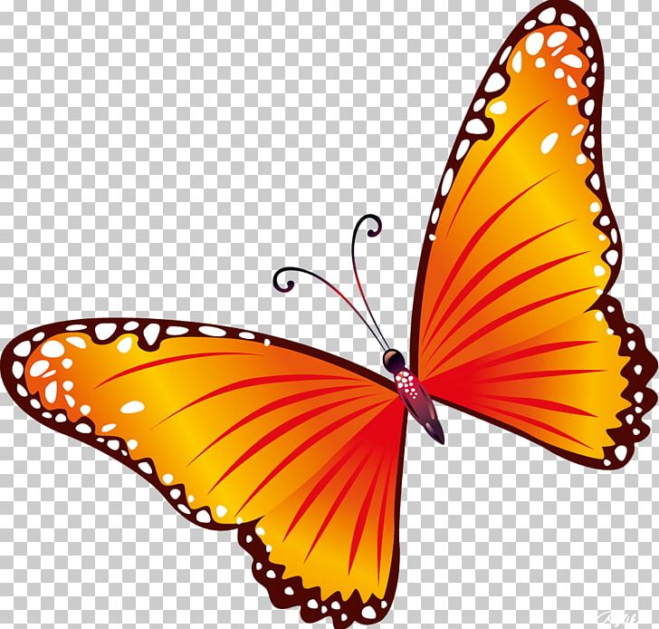 Butterfly PNG, Clipart, Arthropod, Brush Footed Butterfly, Butterfly, Desktop Wallpaper, Document Free PNG Download