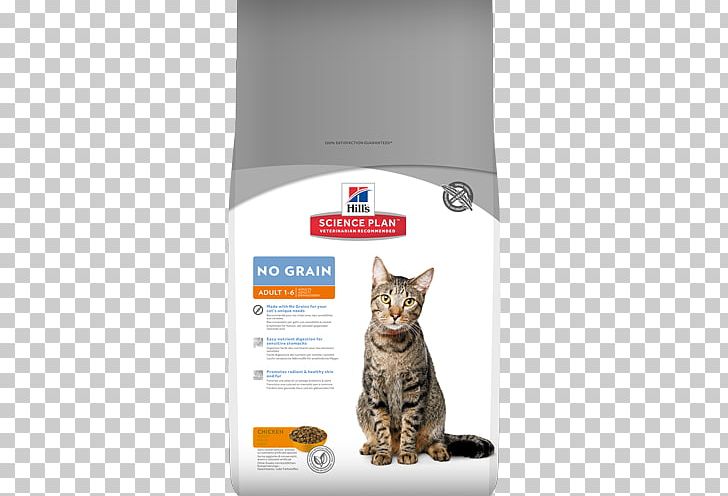 Cat Food Dog Kitten Science Diet PNG, Clipart, Adult Balanced Diet Pagoda, Animals, Carnivoran, Cat, Cat Food Free PNG Download