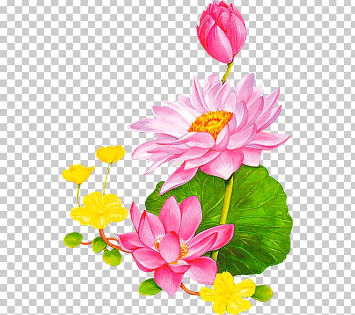 Flower Nelumbo Nucifera Animation Lotus 43 PNG, Clipart, Annual Plant, Aquatic Plant, Artificial Flower, Cartoon, Christmas Decoration Free PNG Download