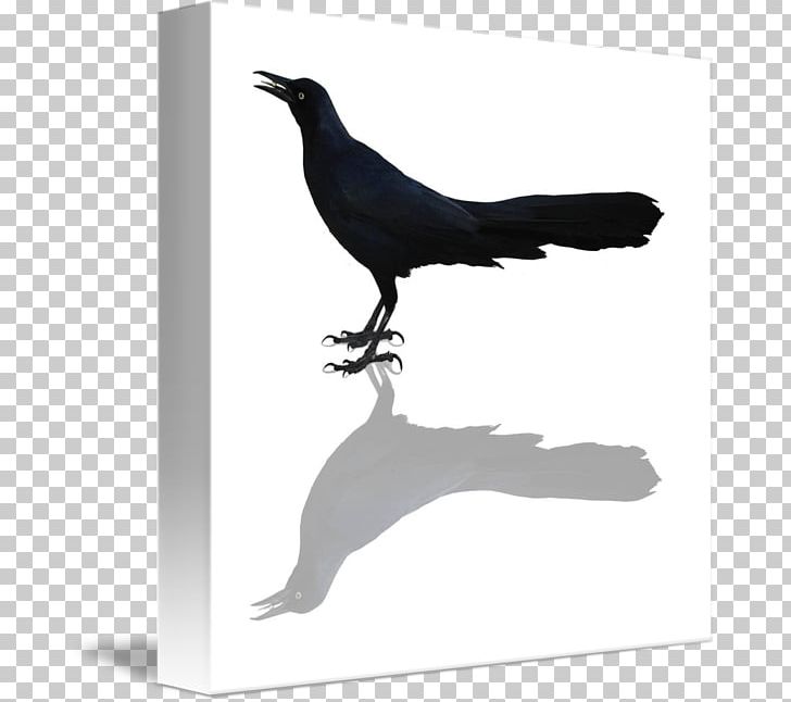 Gallery Wrap Canvas Print Printing Printmaking PNG, Clipart, Art, Beak, Bird, Black And White, Canvas Free PNG Download
