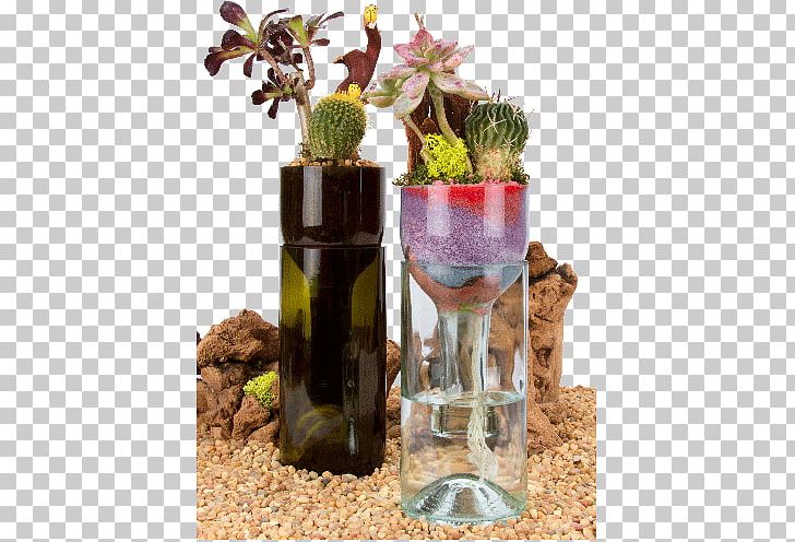 Wine Plants Beer Succulent Plant Bottle PNG, Clipart, Beer, Bottle, Bottle Garden, Cactus, Cyma Orchids Free PNG Download