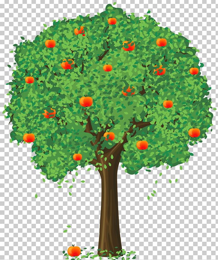Berry Apple Fruit Tree PNG, Clipart, Apple, Berry, Branch, Flower, Flowering Plant Free PNG Download