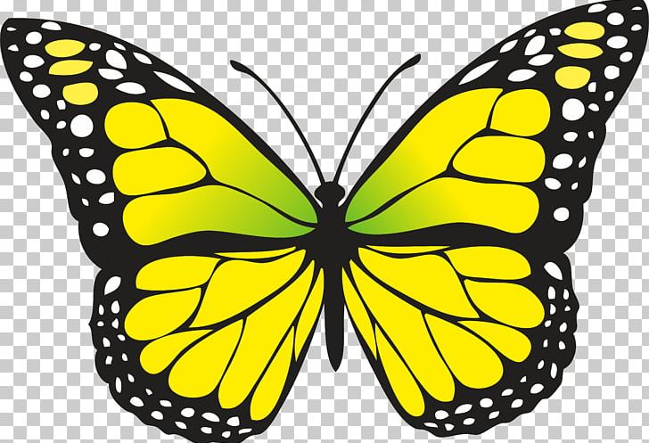 Butterfly PNG, Clipart, Arthropod, Black And White, Brush Footed Butterfly, Bugs, Butterfly Free PNG Download