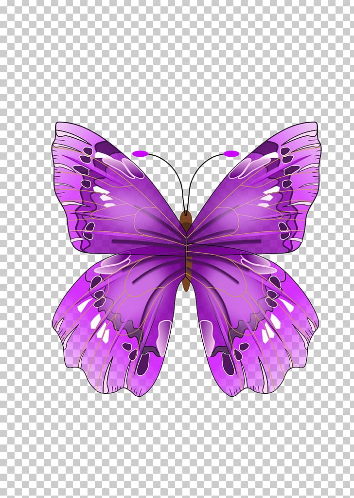 Butterfly Drawing Purple PNG, Clipart, Animal, Arthropod, Awesomeness, Brush Footed Butterfly, Butter Free PNG Download