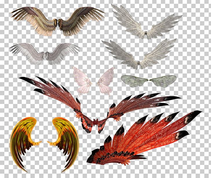 Drawing Manga Photography Anime PNG, Clipart, Angel Wing, Anime, Beak, Cartoon, Drawing Free PNG Download