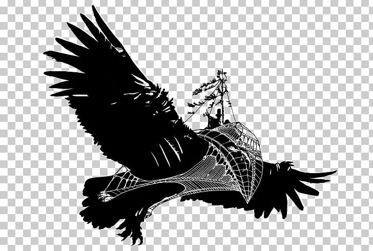 Eagle Beak Feather Silhouette PNG, Clipart, Beak, Bird, Bird Of Prey, Black And White, Eagle Free PNG Download