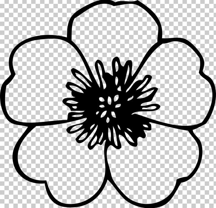 Flower Drawing PNG, Clipart, Artwork, Black, Black And White, Bullfighting, Circle Free PNG Download