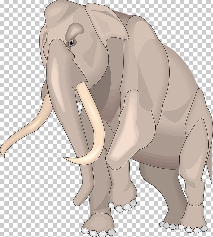 African Elephant Baby Indian Elephant PNG, Clipart, African Elephant, Animal, Animals, Asian Elephant, Baby Free PNG Download