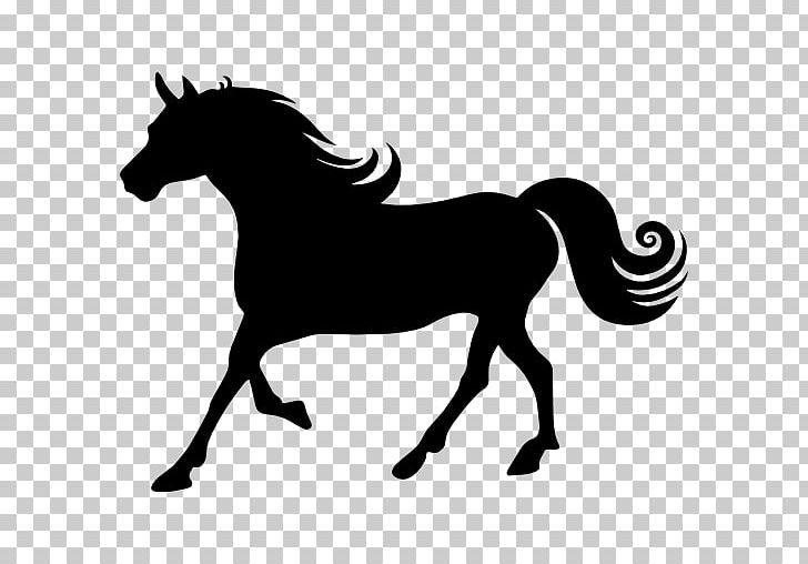 Arabian Horse Wild Horse Silhouette PNG, Clipart, Animals, Black, Black And White, Bridle, Colt Free PNG Download