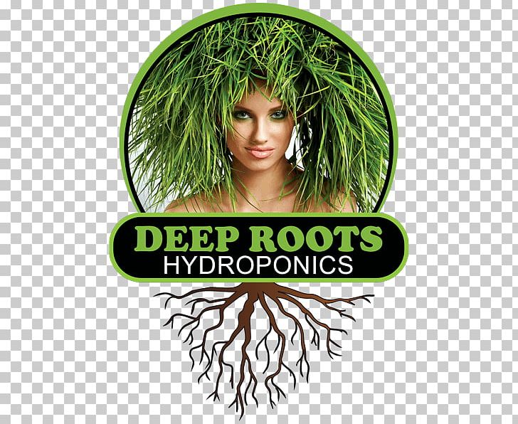 Deep Roots Hydroponics Sebastopol Retail PNG, Clipart, Deep Water Culture, Flowerpot, Grass, Hair Coloring, Horticulture Free PNG Download
