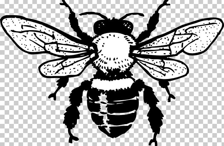 European Dark Bee Black And White Line Art PNG, Clipart, Art, Arthropod, Bee, Beehive, Brush Footed Butterfly Free PNG Download