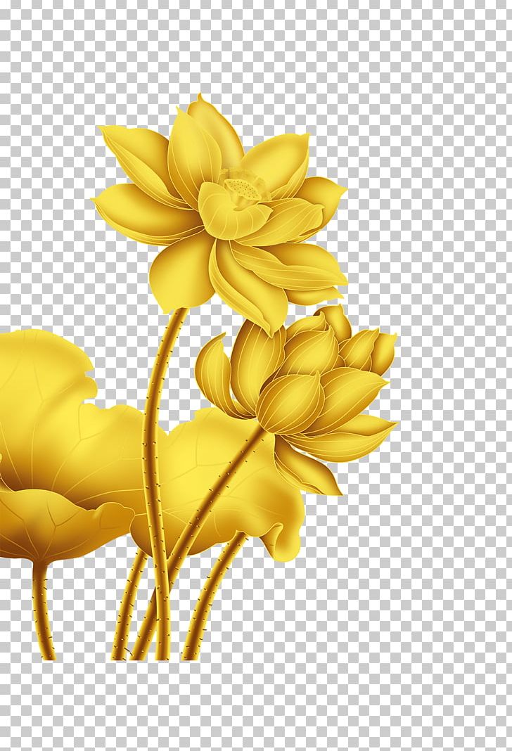 Gold Flower Nelumbo Nucifera PNG, Clipart, Beautiful, Beauty, Beauty Salon, Christmas Decoration, Computer Wallpaper Free PNG Download