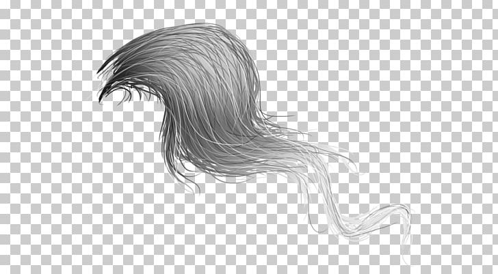 Horse Hair Mane Tail Drawing PNG, Clipart, Animals, Arm, Art, Artwork, Black And White Free PNG Download