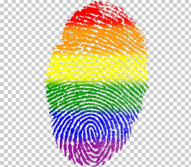 LGBT Symbols Gay Pride Rainbow Flag Pride Parade PNG, Clipart, Bisexual Pride Flag, Circle, Gay, Gay Pride, Heterosexuality Free PNG Download
