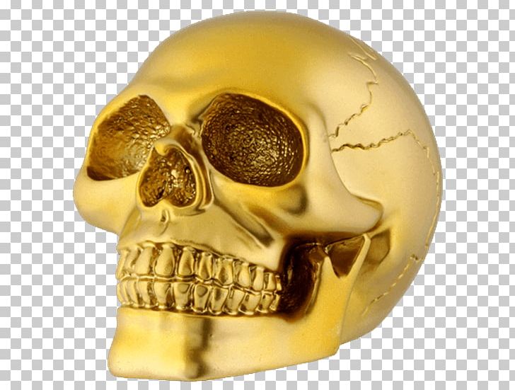 Skull Gold Human Skeleton Amazon.com PNG, Clipart, Amazoncom, Bone, Brass, Collectable, Collecting Free PNG Download