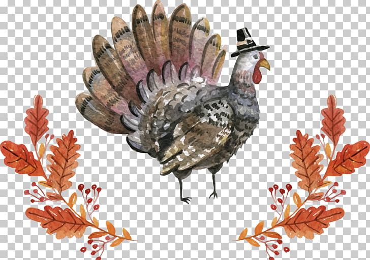 Turkey Euclidean Thanksgiving PNG, Clipart, Beak, Cartoon, Domesticated Turkey, Fauna, Galliformes Free PNG Download