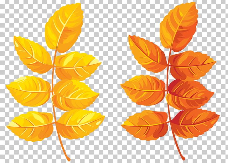 Desktop Art PNG, Clipart, Art, Autumn, Autumn Leaf Color, Autumn Leaves, Desktop Wallpaper Free PNG Download