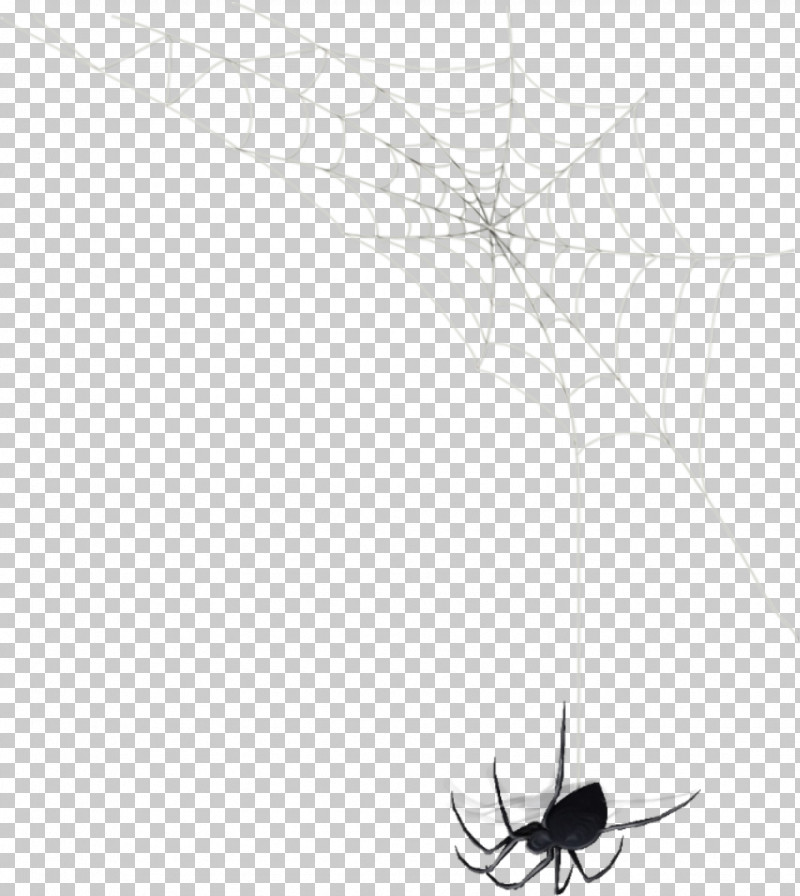 Spider Web PNG, Clipart, Arachnid, Black And White, Insects, Leaf, Line Free PNG Download