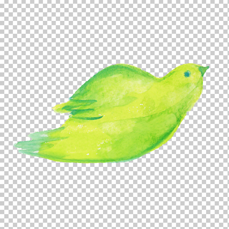 Feather PNG, Clipart, Beak, Bird, Budgie, Feather, Green Free PNG Download
