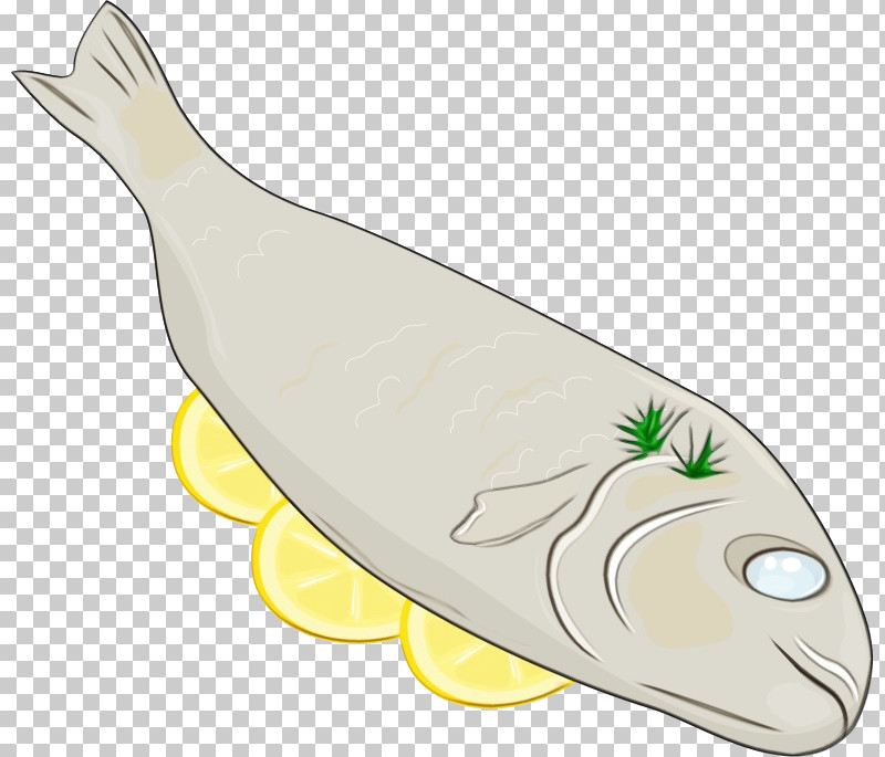 Fish Science Biology PNG, Clipart, Biology, Fish, Paint, Science, Watercolor Free PNG Download