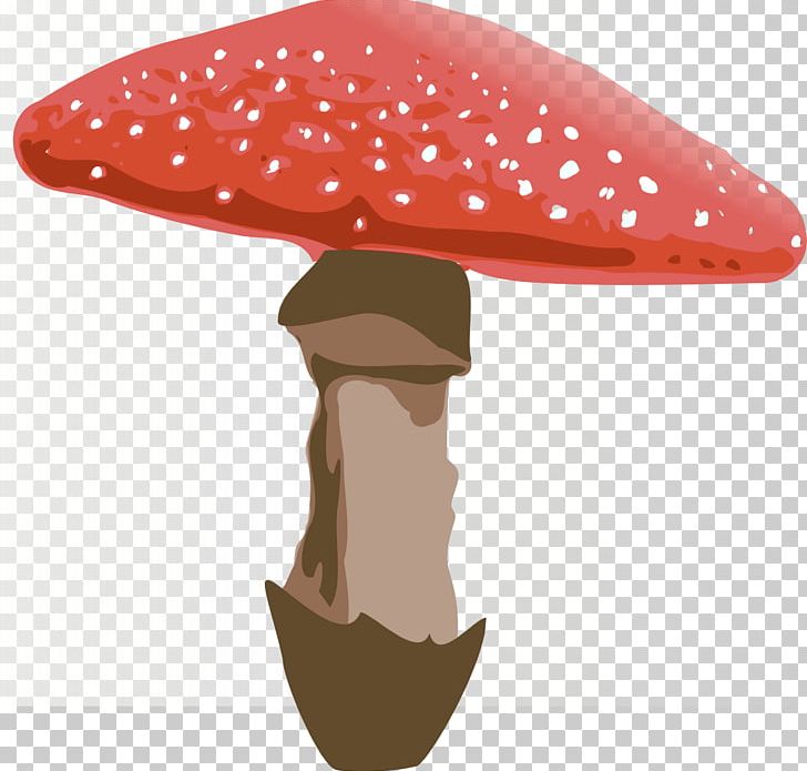 Amanita Muscaria Mushroom Fungus PNG, Clipart, Amanita, Amanita Muscaria, Cap, Coreldraw, Fashion Accessory Free PNG Download