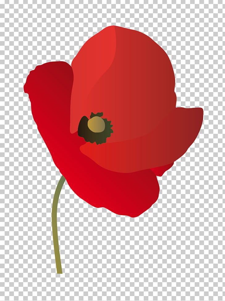 Common Poppy Herbicide Seed Water Pollution PNG, Clipart, Arrosage, Common Poppy, Coquelicot, Flower, Flowering Plant Free PNG Download