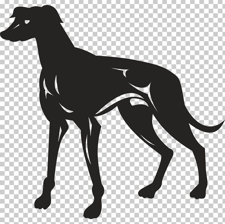 Greyhound Lines PNG, Clipart, Animals, Animal Sports, Azawakh, Black, Black And White Free PNG Download