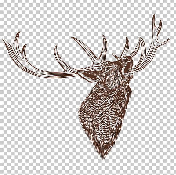 Pillow Sticker Lead Paint PNG, Clipart, Animal, Animals, Antler, Black, Christmas Deer Free PNG Download