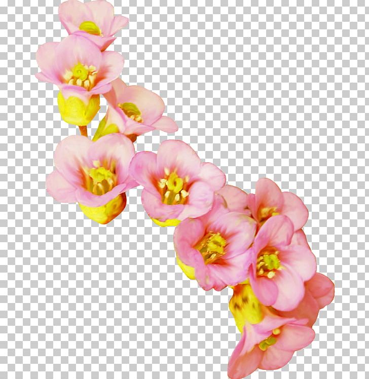 Cut Flowers Computer Icons PNG, Clipart, Blossom, Cherry Blossom, Clip Art, Computer Icons, Cut Flowers Free PNG Download