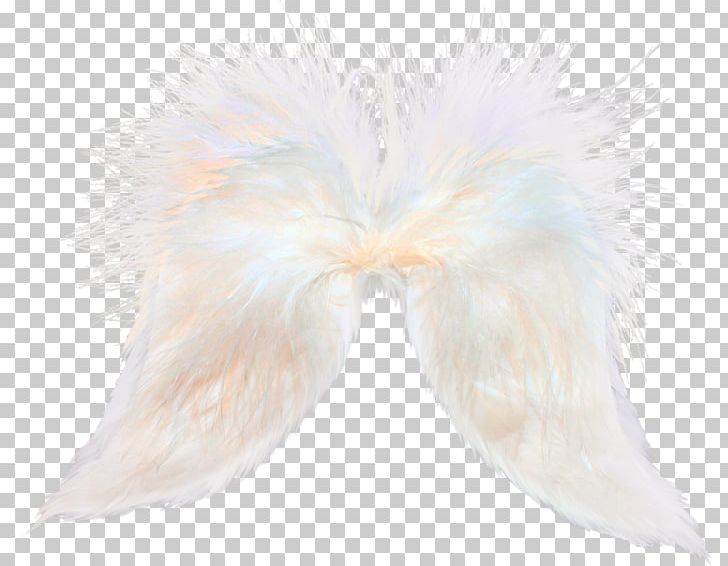 Feather Wing Tail White PNG, Clipart, Animals, Feather, Fur, Tail, White Free PNG Download