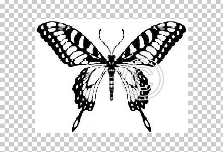 Monarch Butterfly Tattoo Moth Wall Decal PNG, Clipart, Arthropod, Belem, Black And White, Brush, Brush Footed Butterfly Free PNG Download