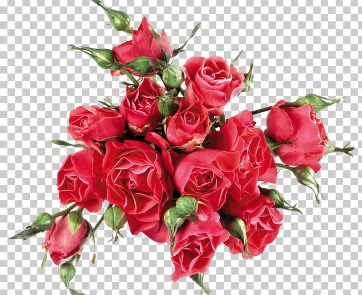 Rose Nosegay Cut Flowers Drawing PNG, Clipart, Artificial Flower, Desktop Wallpaper, Drawing, Floral Design, Floribunda Free PNG Download