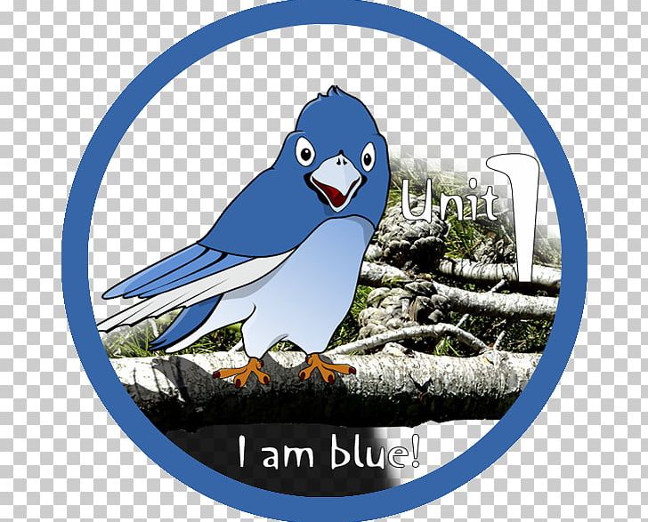 Macaw Penguin Beak PNG, Clipart, Animals, Beak, Be Our Guest, Bird, Flightless Bird Free PNG Download
