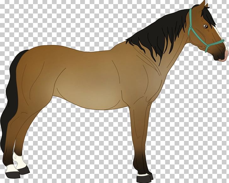 Mane Mustang Stallion Mare Rein PNG, Clipart, Animal Figure, Bridle, Dog Harness, Halter, Horse Free PNG Download