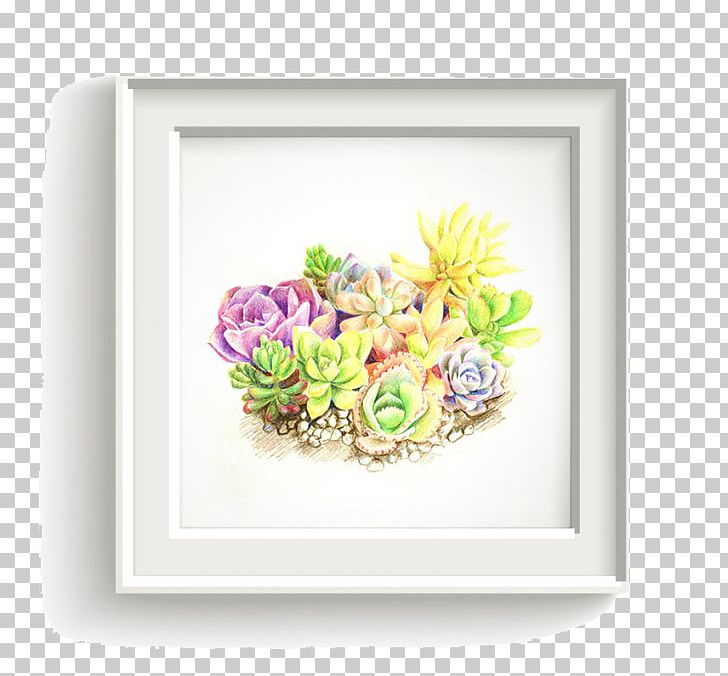 Succulent Plant Euclidean PNG, Clipart, Color, Color Pencil, Color Powder, Colors, Color Smoke Free PNG Download